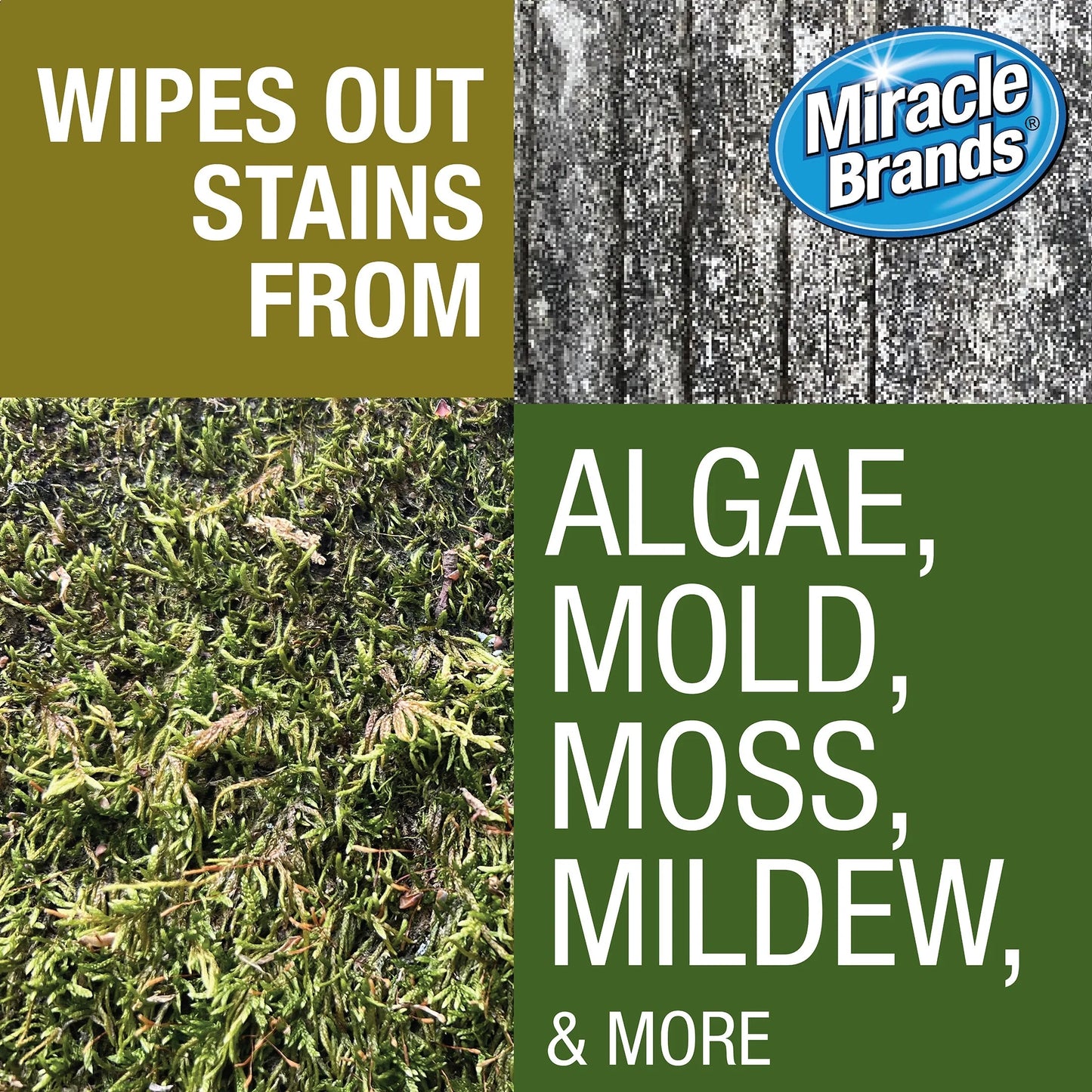 Miracle Brands Outdoor Cleaner 2X Concentrate for Algae, Mold, and Mildew 1 Gallon