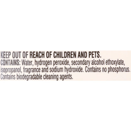 Clorox Pet Carpet Stain Remover for Urine Stains and Odors, 24 Fl Oz