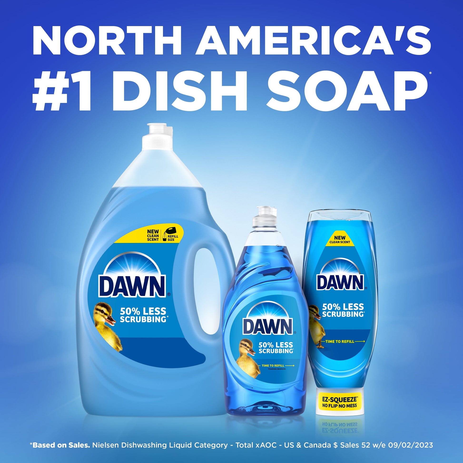 Dawn Gentle Clean Ez-Squeeze Dish Soap, Dishwashing Liquid, Pomegranate & Rose Water, 24.3Oz