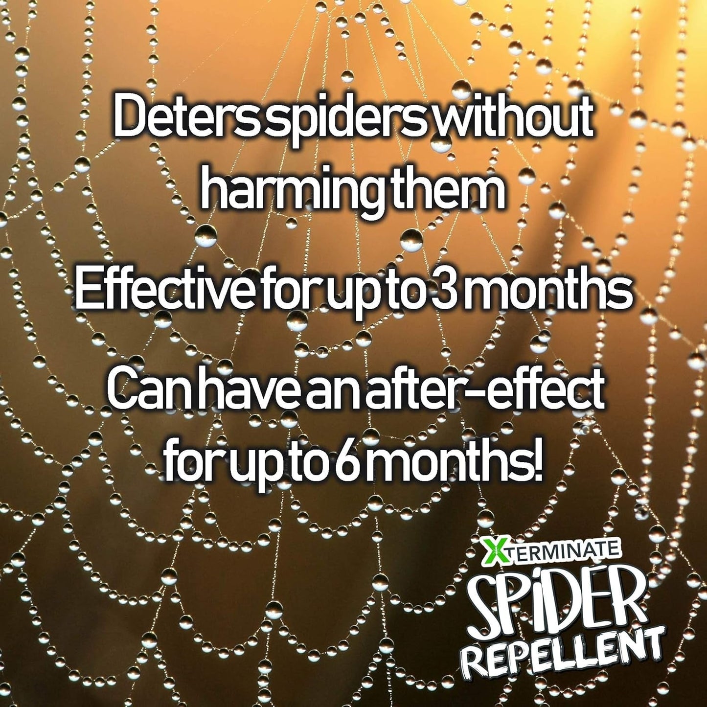 Xterminate Spider Repellent 1 Litre Spray for Indoor/Outdoor Use Suitable for CCTV Cameras, Doors and Windows. Super Strength Natural Peppermint Oil. Repels and Deters Spiders from Entering Homes