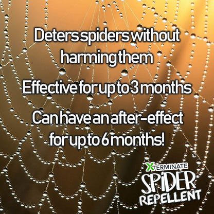 Xterminate Spider Repellent 1 Litre Spray for Indoor/Outdoor Use Suitable for CCTV Cameras, Doors and Windows. Super Strength Natural Peppermint Oil. Repels and Deters Spiders from Entering Homes