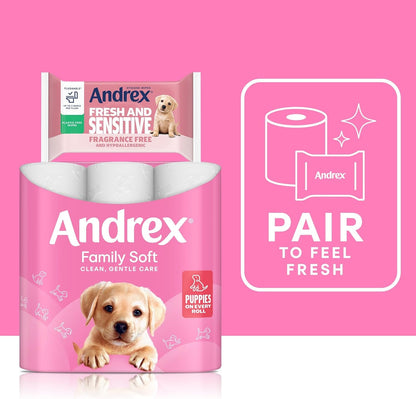 Andrex Family Soft Toilet Paper 24 Rolls (Previously Andrex Gentle Clean) Gentle on Your Family’S Skin– Pack of 24 Toilet Rolls, FSC Certified