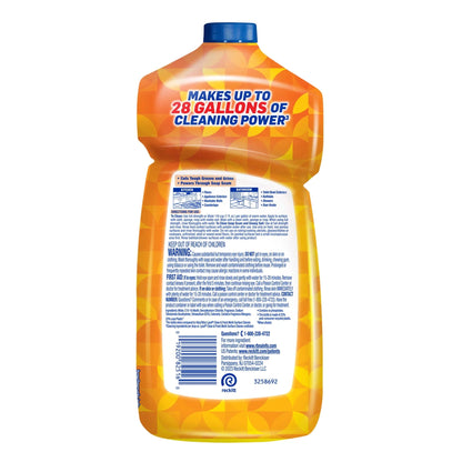 Lysol® Multi-Surface Cleaner - Pourable Brand New Day™ Mango & Hibiscus 9/28 Oz.