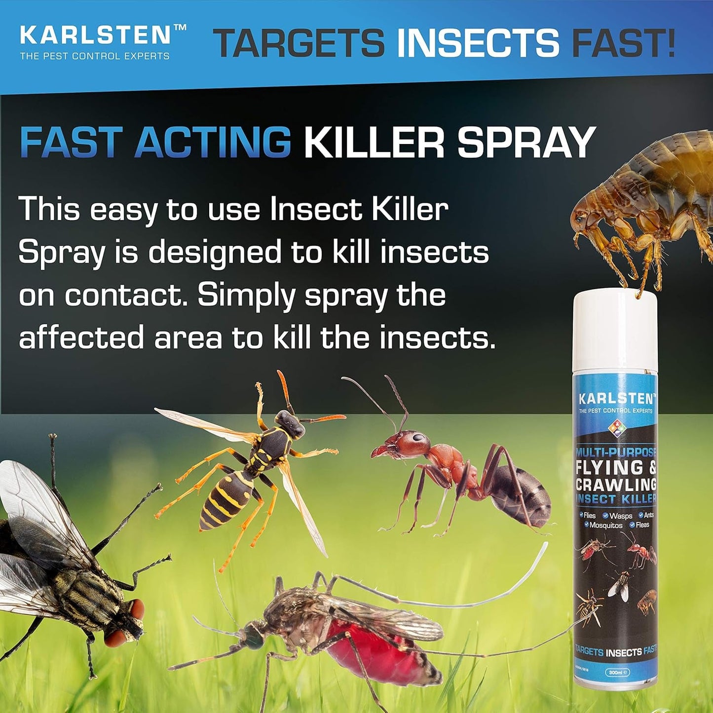 Multi Insect Killer Aerosol 300 ML Kills All Insects Including Spiders, Wasps, Fleas Flying & All Crawling Insects