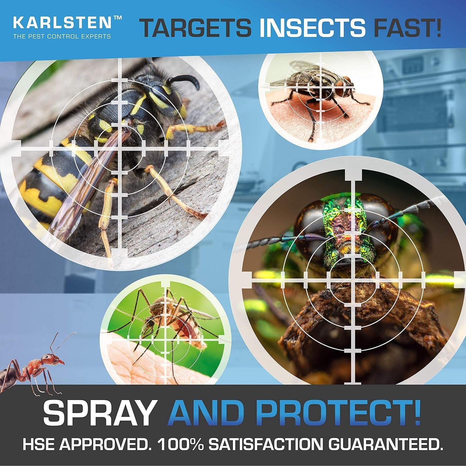 Multi Insect Killer Aerosol 300 ML Kills All Insects Including Spiders, Wasps, Fleas Flying & All Crawling Insects