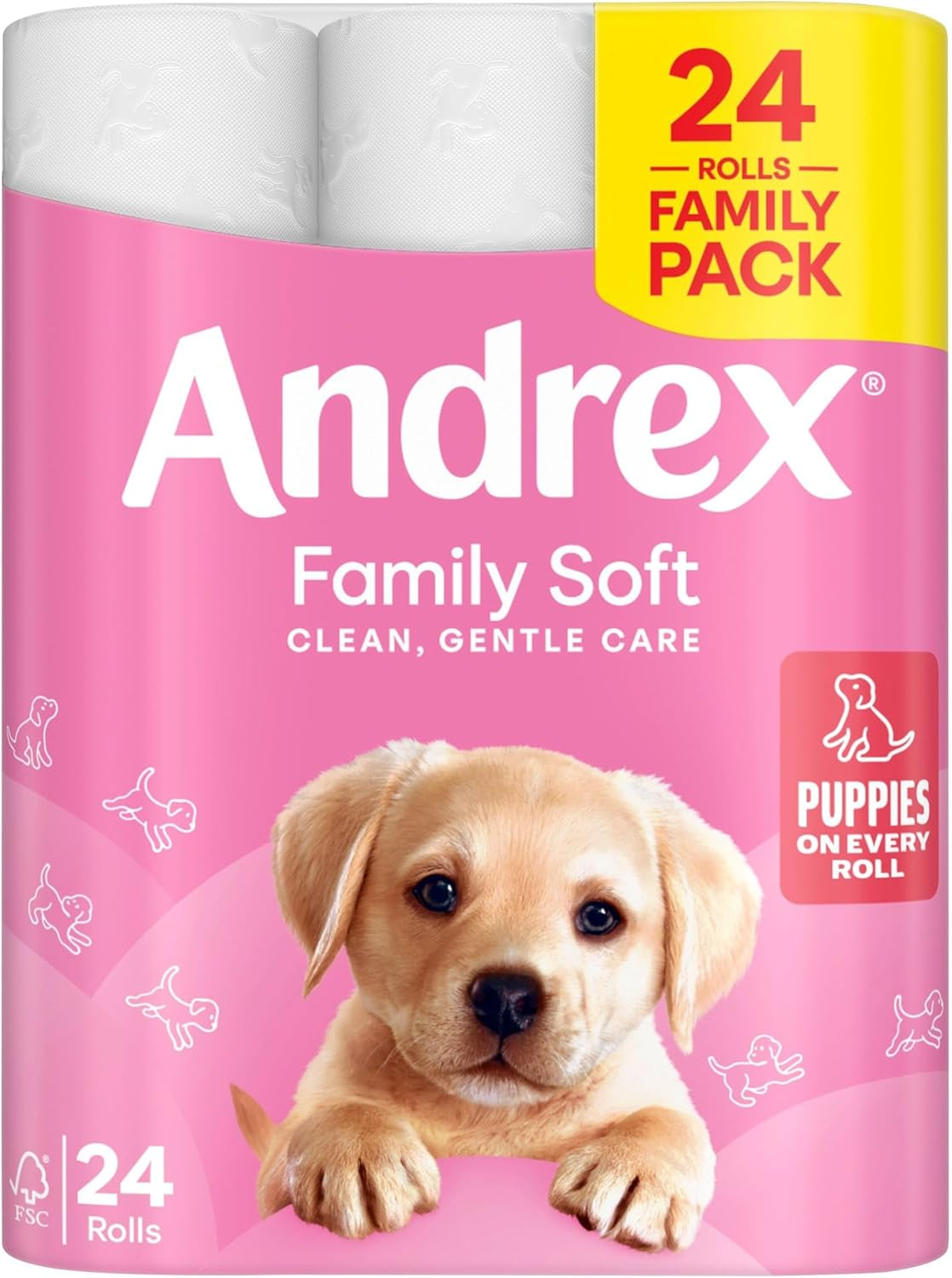 Andrex Family Soft Toilet Paper 24 Rolls (Previously Andrex Gentle Clean) Gentle on Your Family’S Skin– Pack of 24 Toilet Rolls, FSC Certified