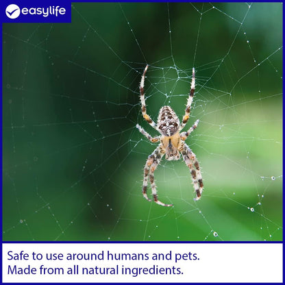 Easylife Advanced Spider Stayaway Spray Bottle, Spider Repellent Spray, Harmless Insect Repellent, Works Indoors and Outdoors, 500Ml - Fully Guaranteed | Pack of 1